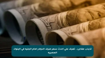 تذبذب مفاجئ.. تعرف على أحدث سعر صرف الدولار أمام الجنيه في البنوك المصرية